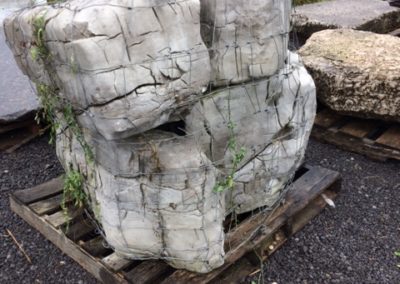 IMG_9794-Weathered Limestone Dinosaur Rock