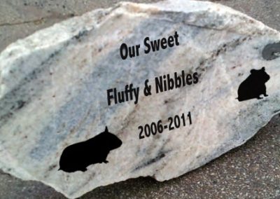 Fluffy and Nibbles