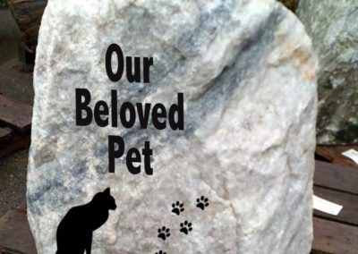 Our Beloved Pet