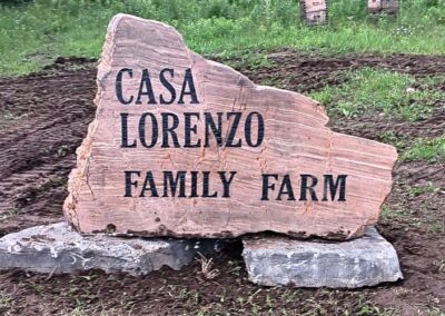 Untitled design - 2025-06-25T131703.054