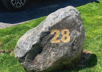 Untitled design - 2025-06-25T140502.967